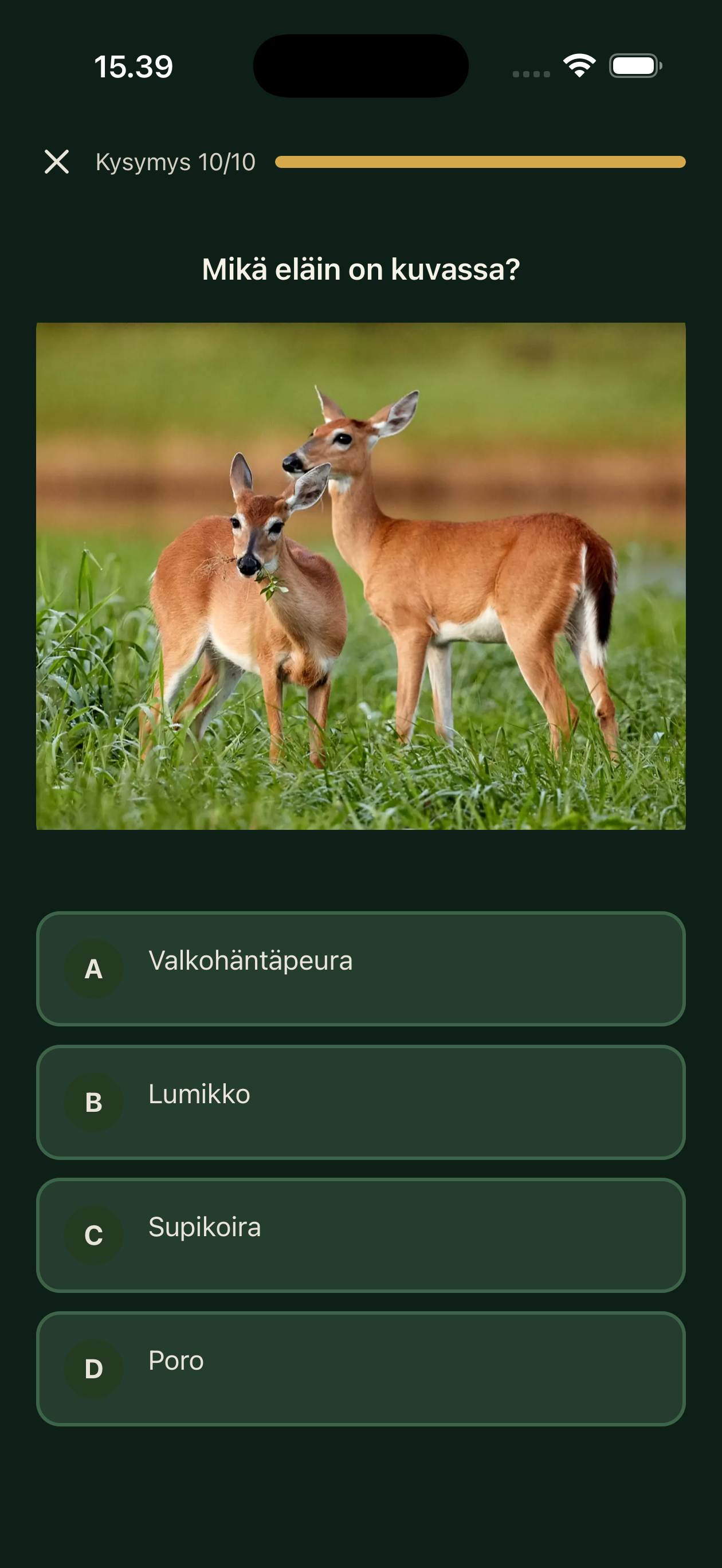 Eläintunnistus-näkymä